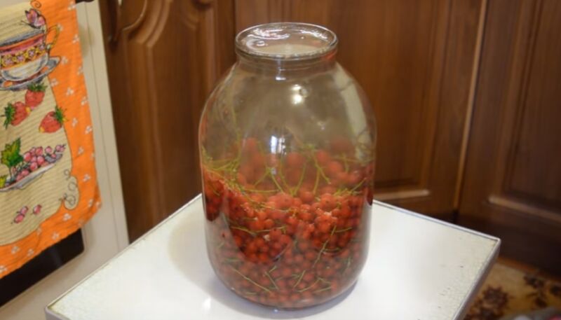 Компот из красной смородины на зиму - 6 простых рецептов на 3 литровую банку | nsrnryn46nhcnfcnxg