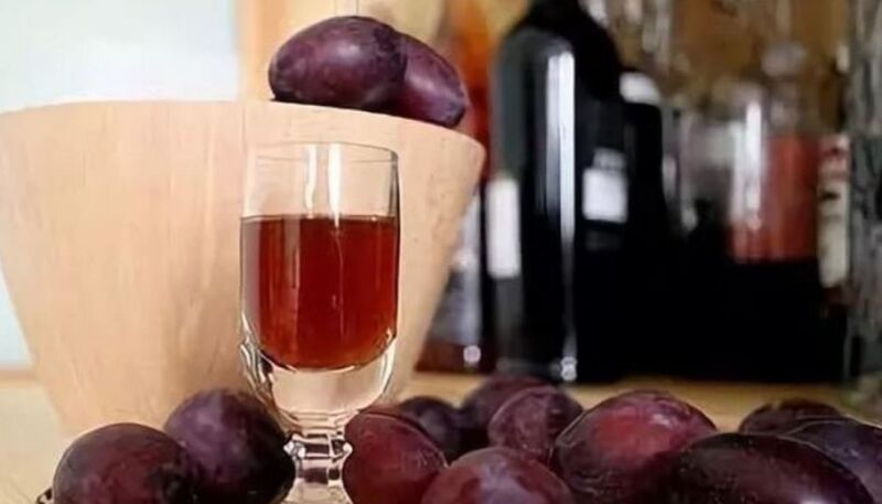 Как сделать вино из сливы в домашних условиях: 3 простых рецепта | bbsrtsb64dgf