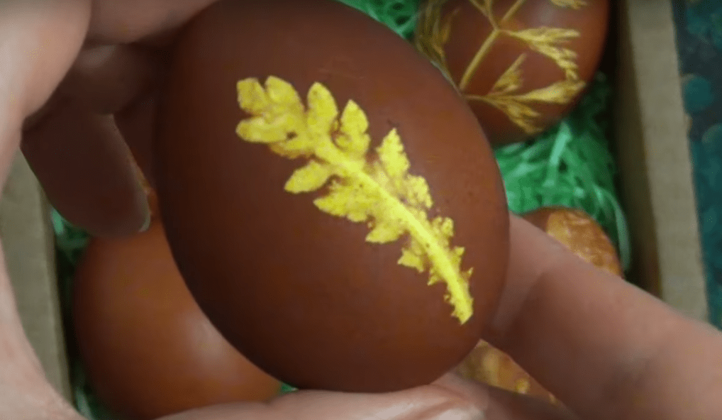 Как покрасить яйца луковой шелухой с рисунком на Пасху 2021 | img 5aa2508190313