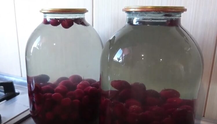 Компот из вишни на зиму: 7 рецептов вишневого компота на 3 литровую банку | btba54gxhgdz e1558629965503