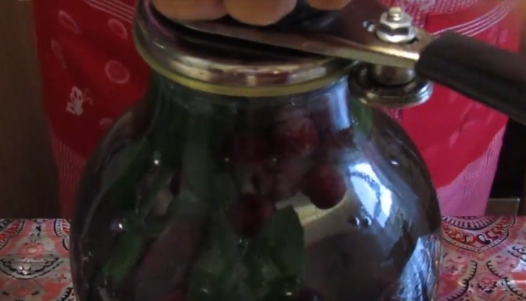 Компот из вишни на зиму: 7 рецептов вишневого компота на 3 литровую банку | sbr63gxnxg