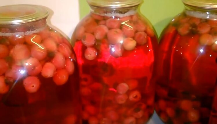 Компот из вишни на зиму: 7 рецептов вишневого компота на 3 литровую банку | shth5hfvx e1558634128329