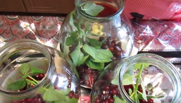 Компот из вишни на зиму: 7 рецептов вишневого компота на 3 литровую банку | sny46jgfjsg e1558636214886