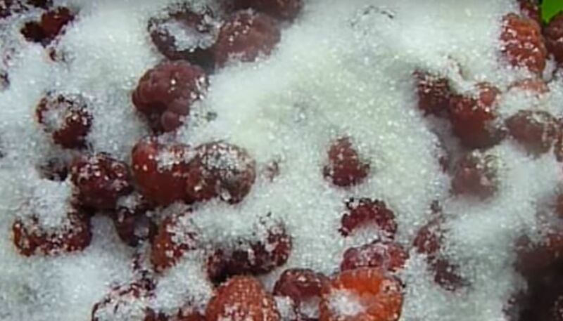 Варенье из малины на зиму: 5 простых рецептов густого варенья с целыми ягодами | dmsymr576mcmch