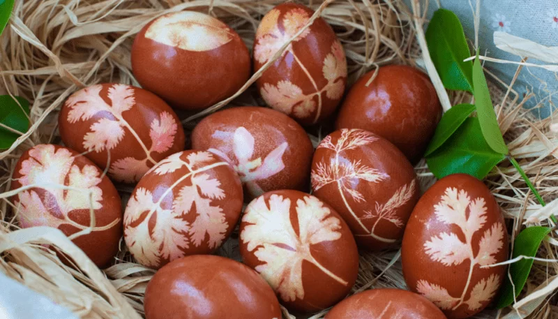 Как покрасить яйца на Пасху 2021? Покраска яиц в домашних условиях народными средствами | krasit yaica