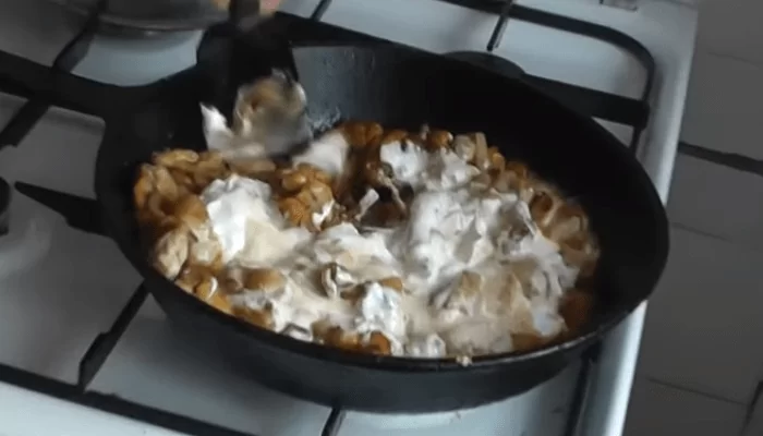 Куриные бедра на сковороде: как правильно и вкусно пожарить бедрышки | img 5aeda79596a3f