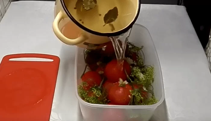 Маринованные помидоры быстрого приготовления - 5 ну очень вкусных рецептов | img 5b41262919f0d