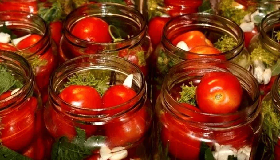 Маринованные помидоры быстрого приготовления - 5 ну очень вкусных рецептов | img 5b41ddea38ef1