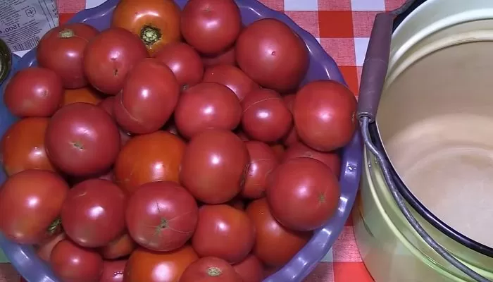 Домашняя томатная паста на зиму: простые рецепты приготовления густой пасты | wretnm kjmhngf e1535895665372