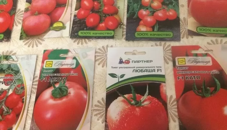 Как сажать помидоры на рассаду в домашних условиях | hshrhsrh e1548926125138